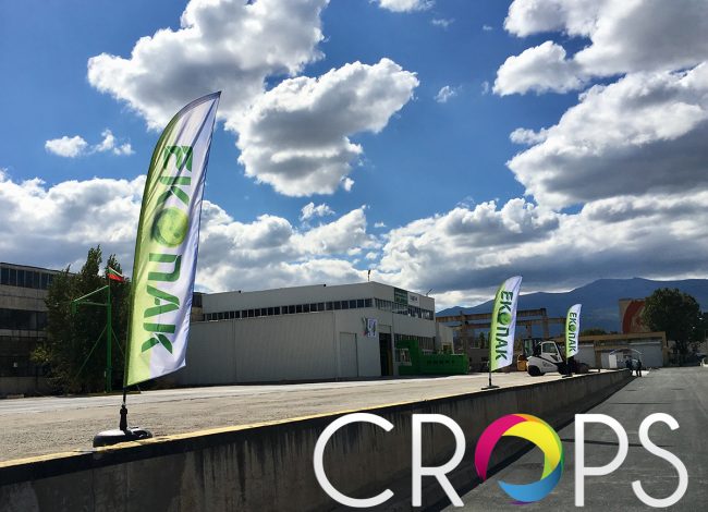 Знамена и флагове