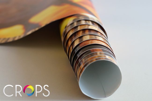 Печат върху фолио Печат върху фолио www.crops.bg