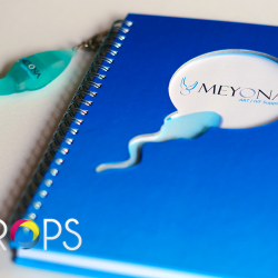 Тефтери с флашки сперматозоиди