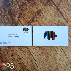 Визитки за Caparol