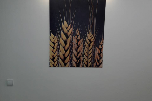 Изработка на пана, http://crops.bg/