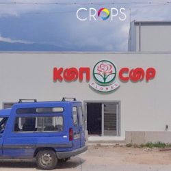 Светещи обемни букви, https://crops.bg/