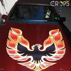 Брандиране на кола, https://crops.bg/