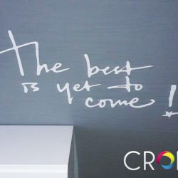 Рязано полимерно фолио за стена