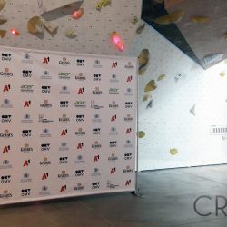 Печат на винил