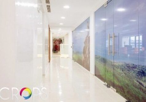 Брандиране на витрини – цена 4