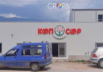 Колко да инвестираш в своя бранд 11