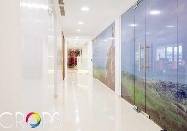 Печат на перфо фолио 5