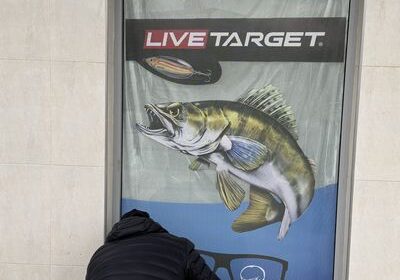 Перфо фолио 7