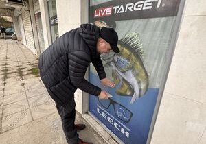 Перфо фолио за коли 10